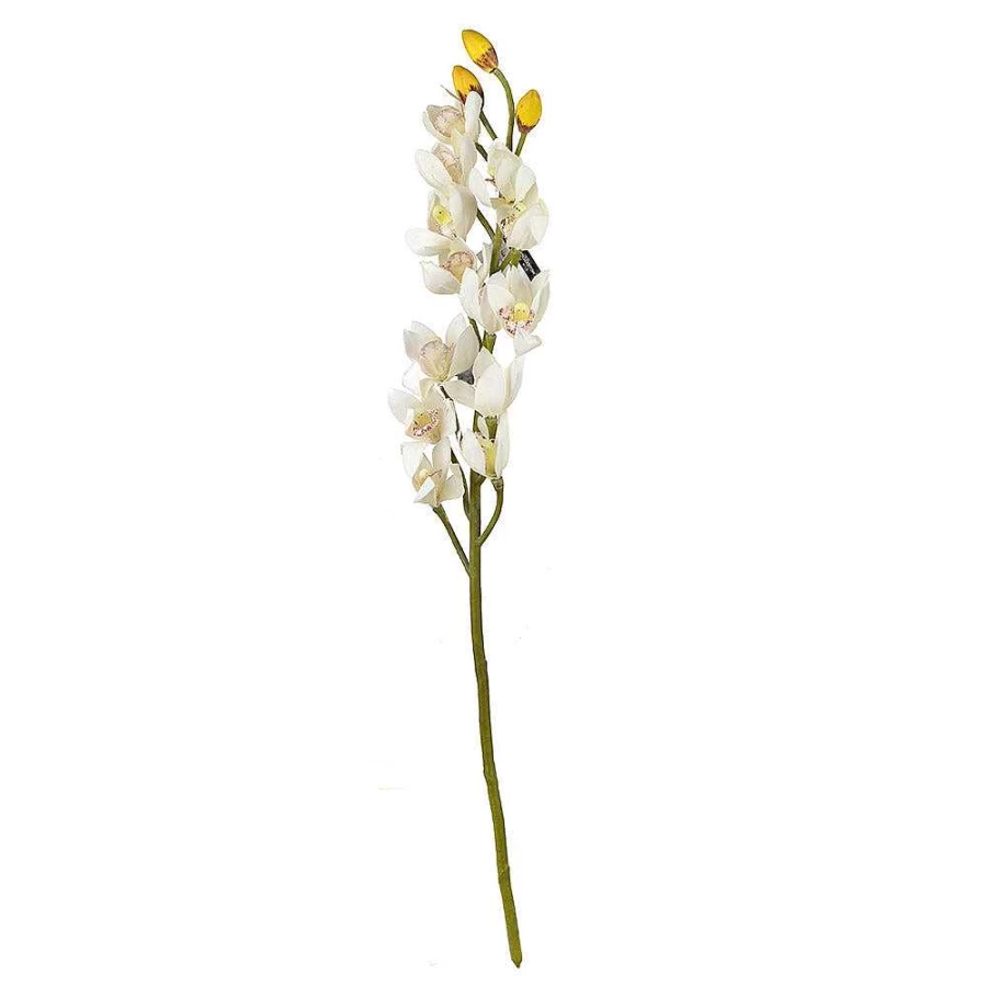 Wheel and Barrow Orchid Stem Support Cream - 66cm Plant Care for Healthy Growth