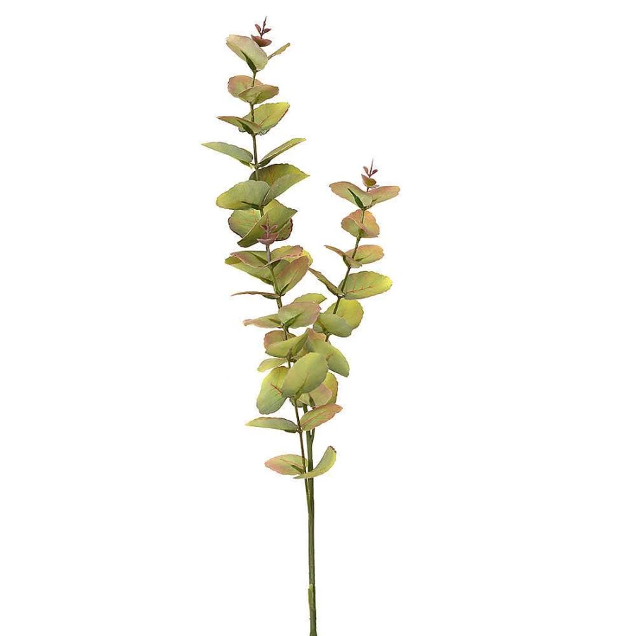 Wheel and Barrow Fresh Eucalyptus Stem 70cm - Natural Aromatic Decor for Home & Events