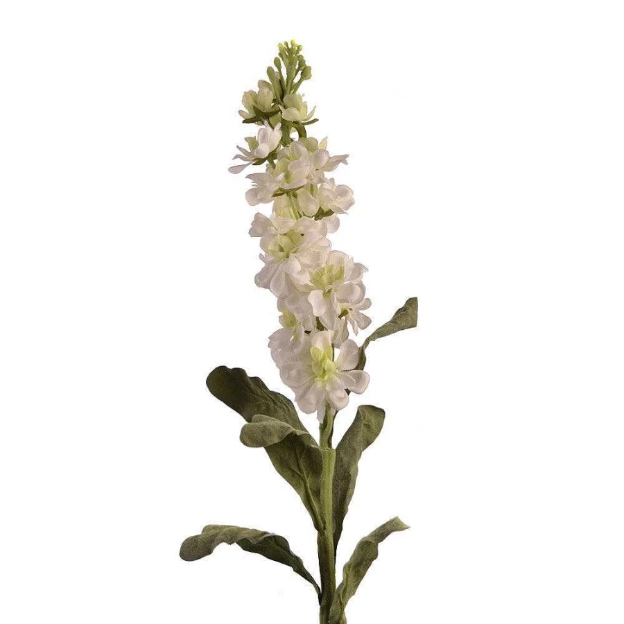 Wheel and Barrow White Stock Flower Stem - 76cm Fresh Cut Floral for Arrangements
